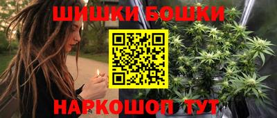 индика Брянск