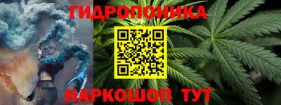 ECSTASY Боровичи