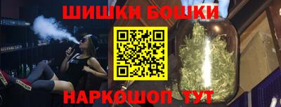 индика Брянск