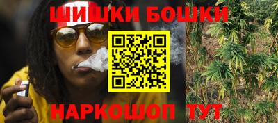 индика Брянск